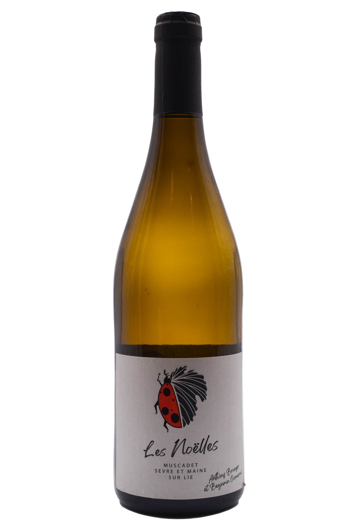 Bottle of Anthony Branger et Benjamin Cormerais Muscadet Sevre et Maine Les Noelles 2023-White Wine-Flatiron SF