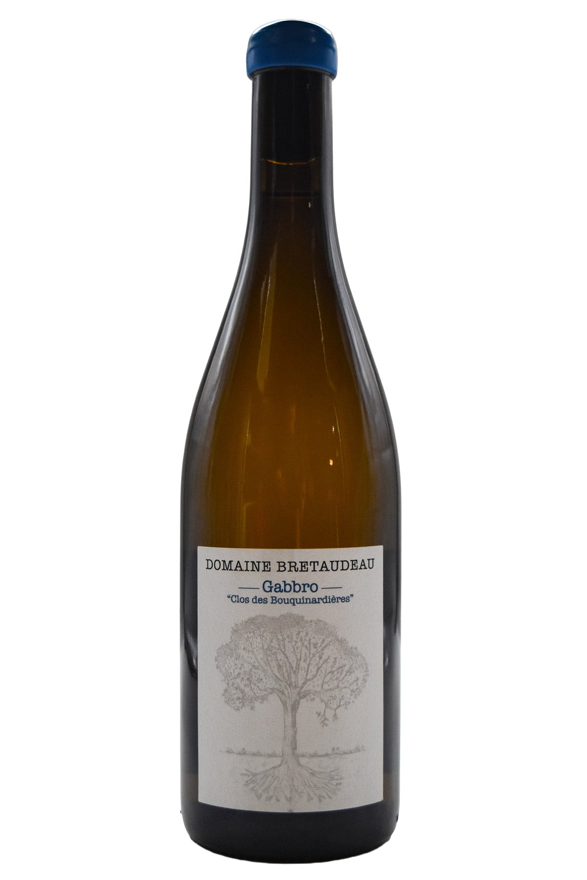 Bottle of Jerome Bretaudeau Gabbro Clos des Bouquinardieres Muscadet Sevre et Maine 2023-White Wine-Flatiron SF