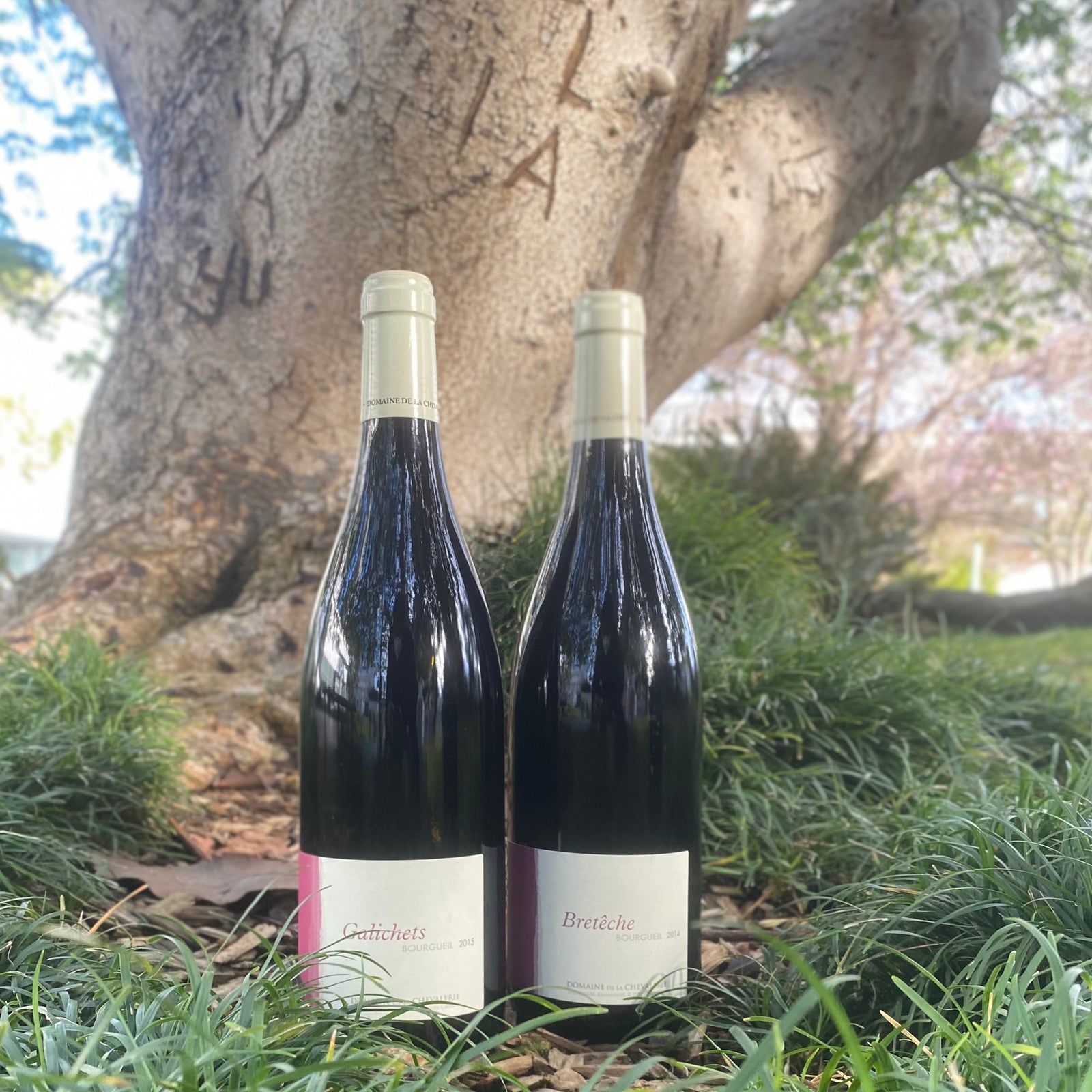 Domaine de la Chevalerie