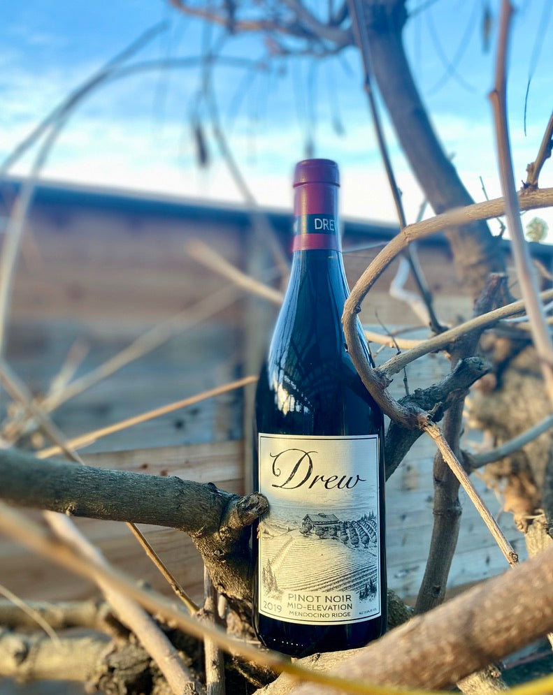 The Drew Family Pinot: The Apple of our Eye