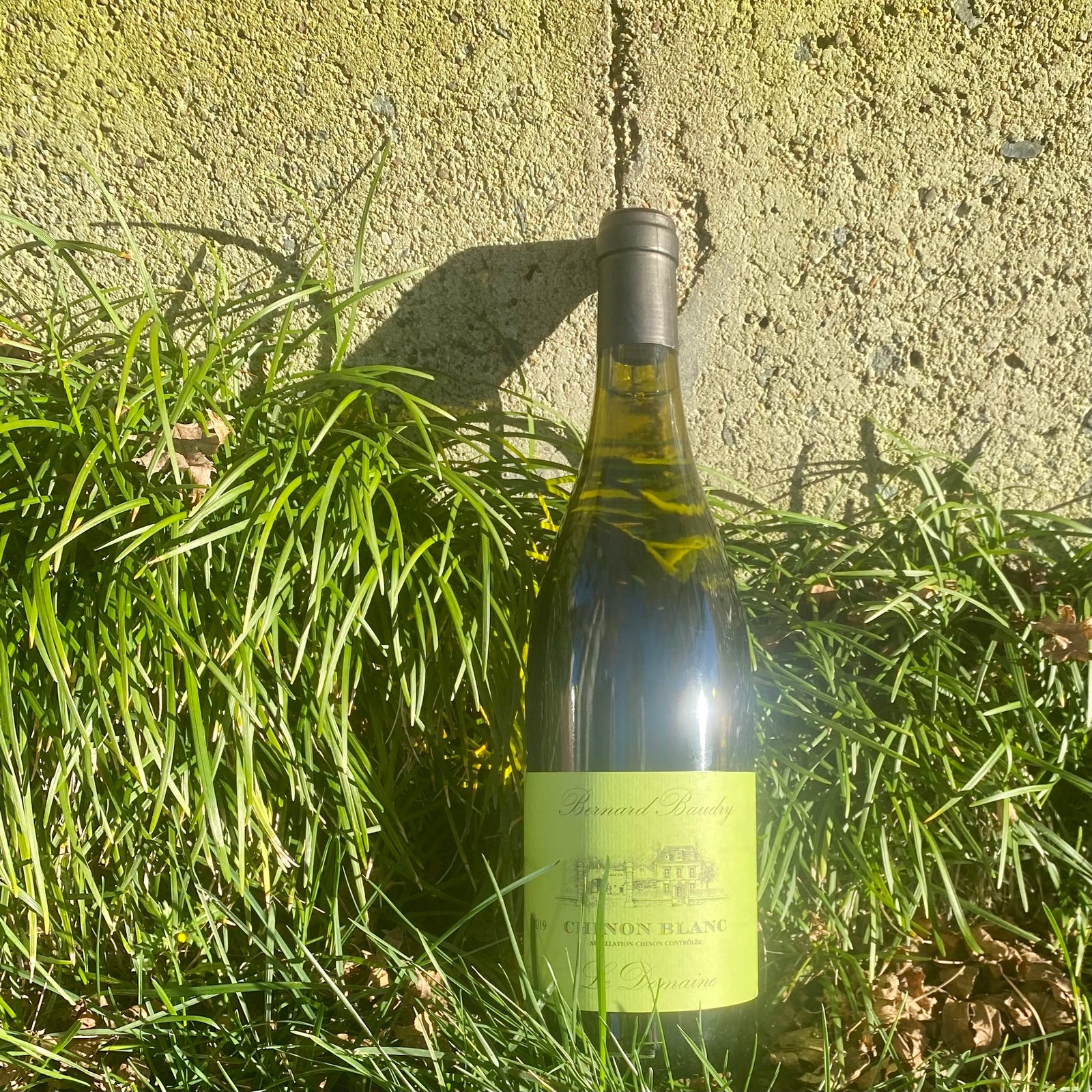 The Art of Balance: 2019 Baudry Chinon Blanc