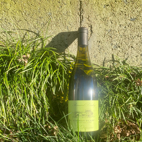 The Art of Balance: 2019 Baudry Chinon Blanc