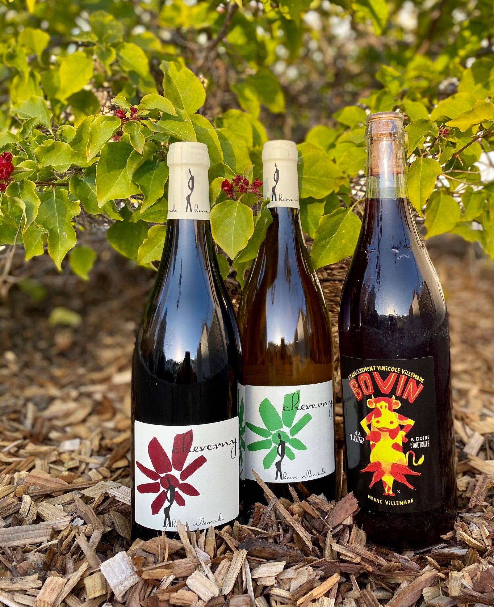 Hervé Villemade’s 2019s: The Pure, Natural Energy of Cheverny