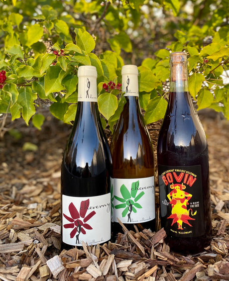 Hervé Villemade’s 2019s: The Pure, Natural Energy of Cheverny
