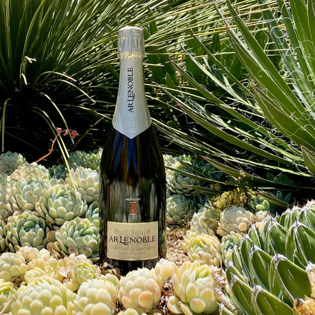 A.R. Lenoble: Chardonnay, Specialized