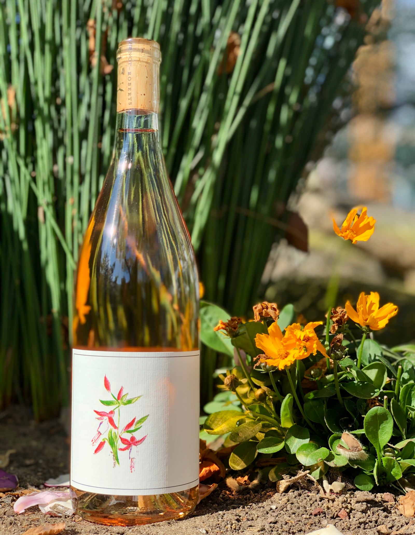 Arnot Roberts Rosé