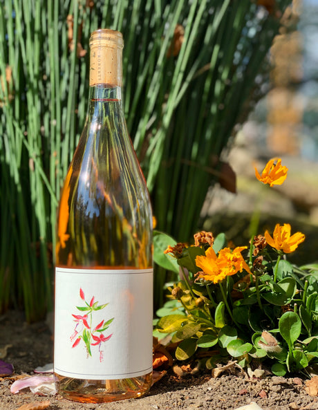 Arnot Roberts Rosé