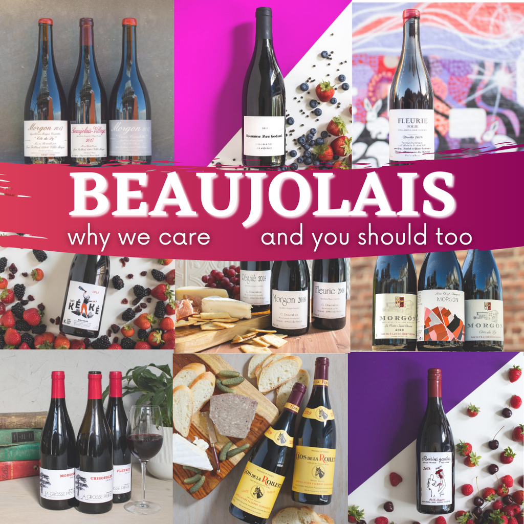 Our New Beaujolais Blog Series is HERE!