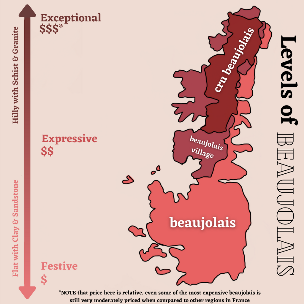 Leveling Up the Levels of Beaujolais-- Our New Blog Post!