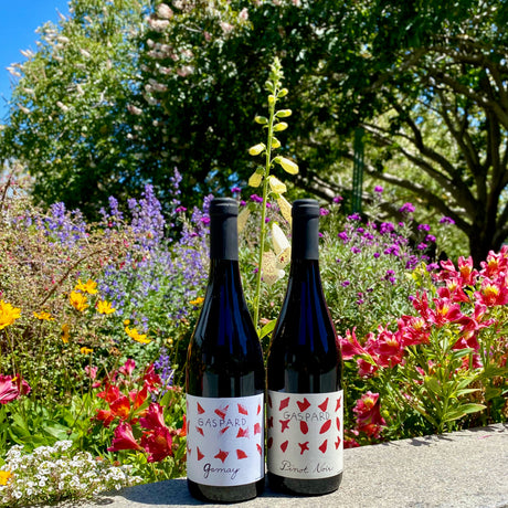 Jenny Lefourt's Darling, Gaspard