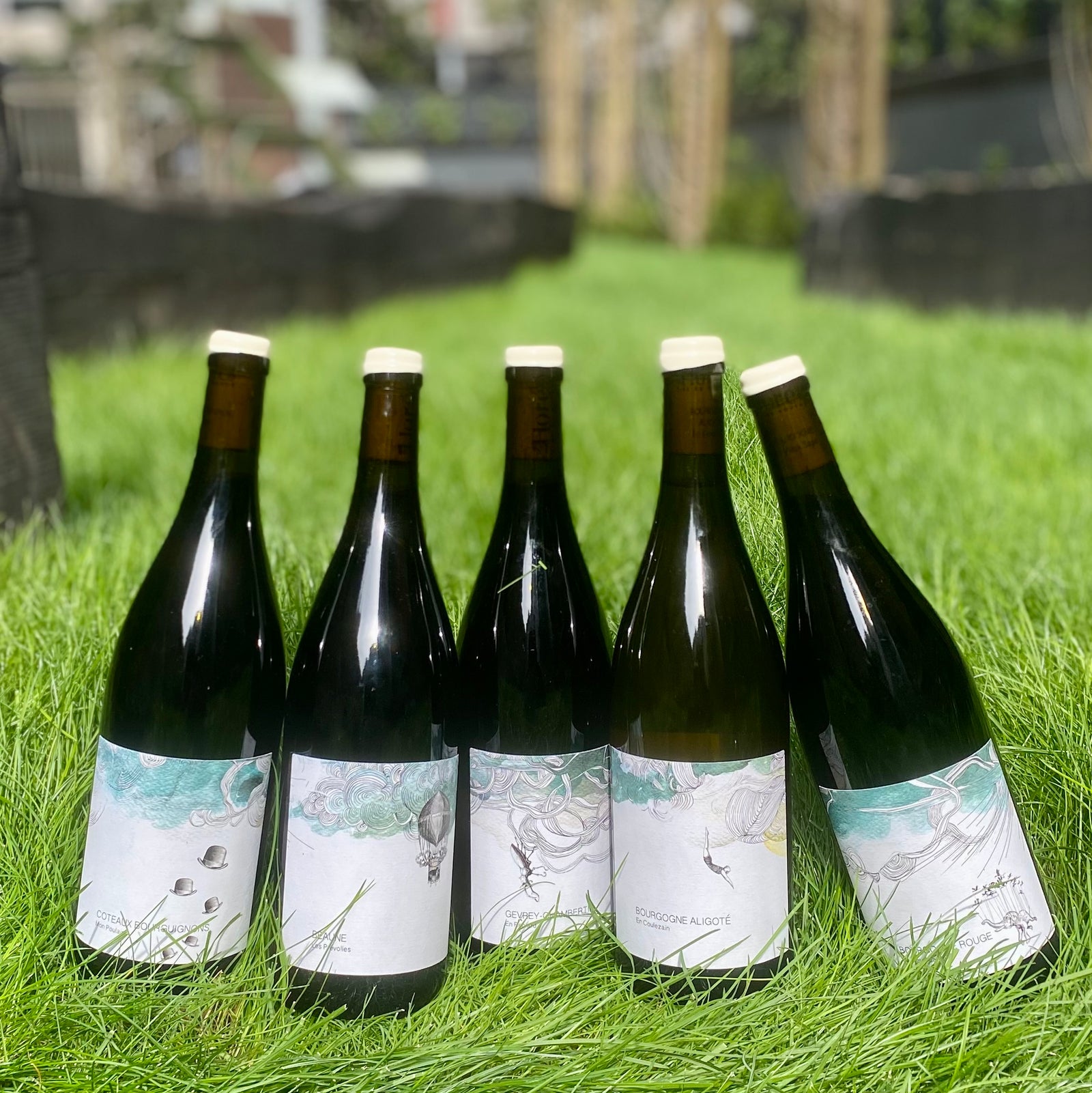 Les Horées: The Inaugural Vintage of Burgundies Next Superstar