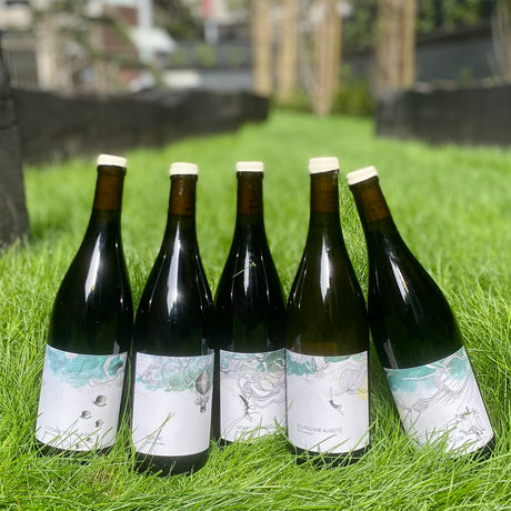 Les Horées: The Inaugural Vintage of Burgundies Next Superstar