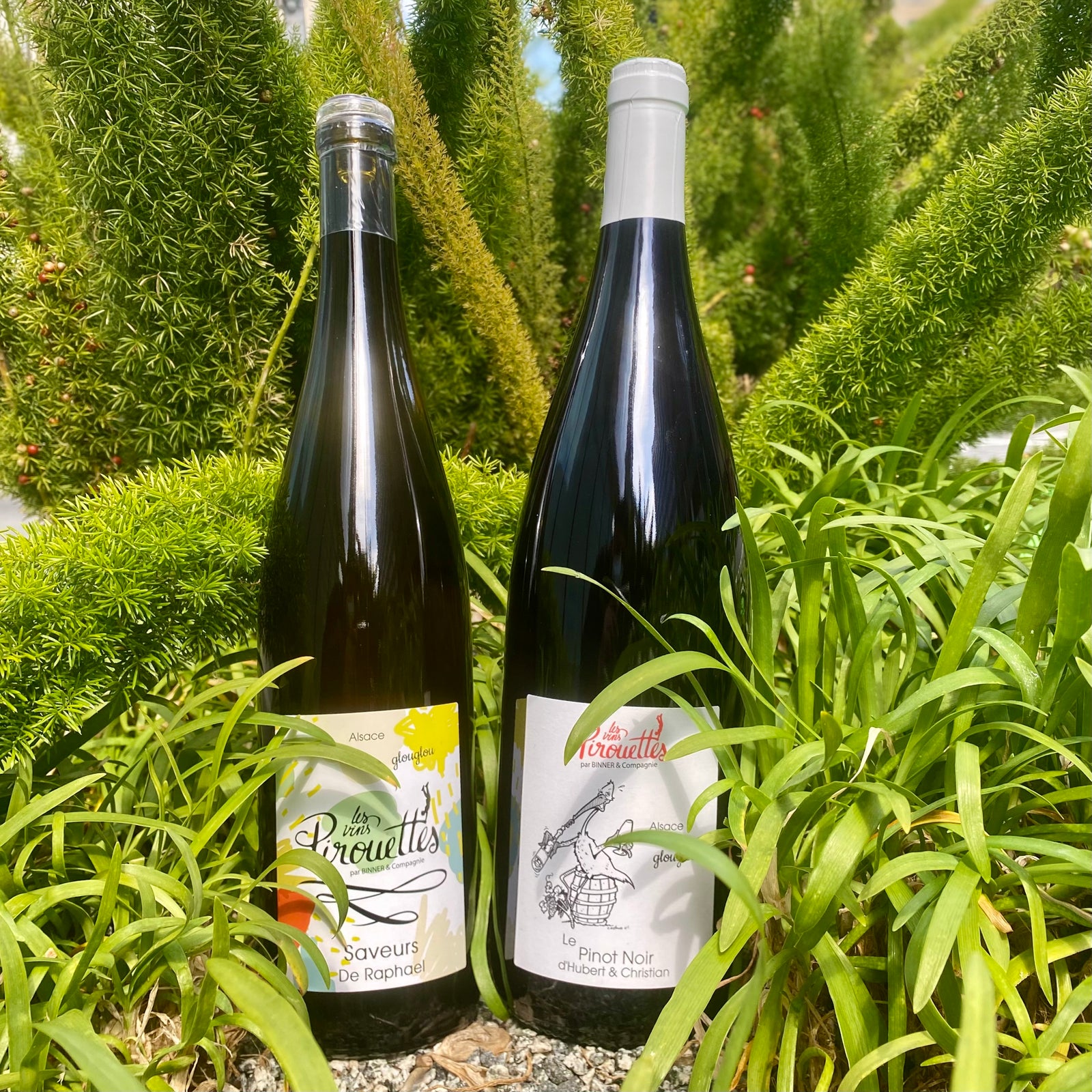 Les Vins Pirouettes; Alsatian Glou Glou from Binner and Friends