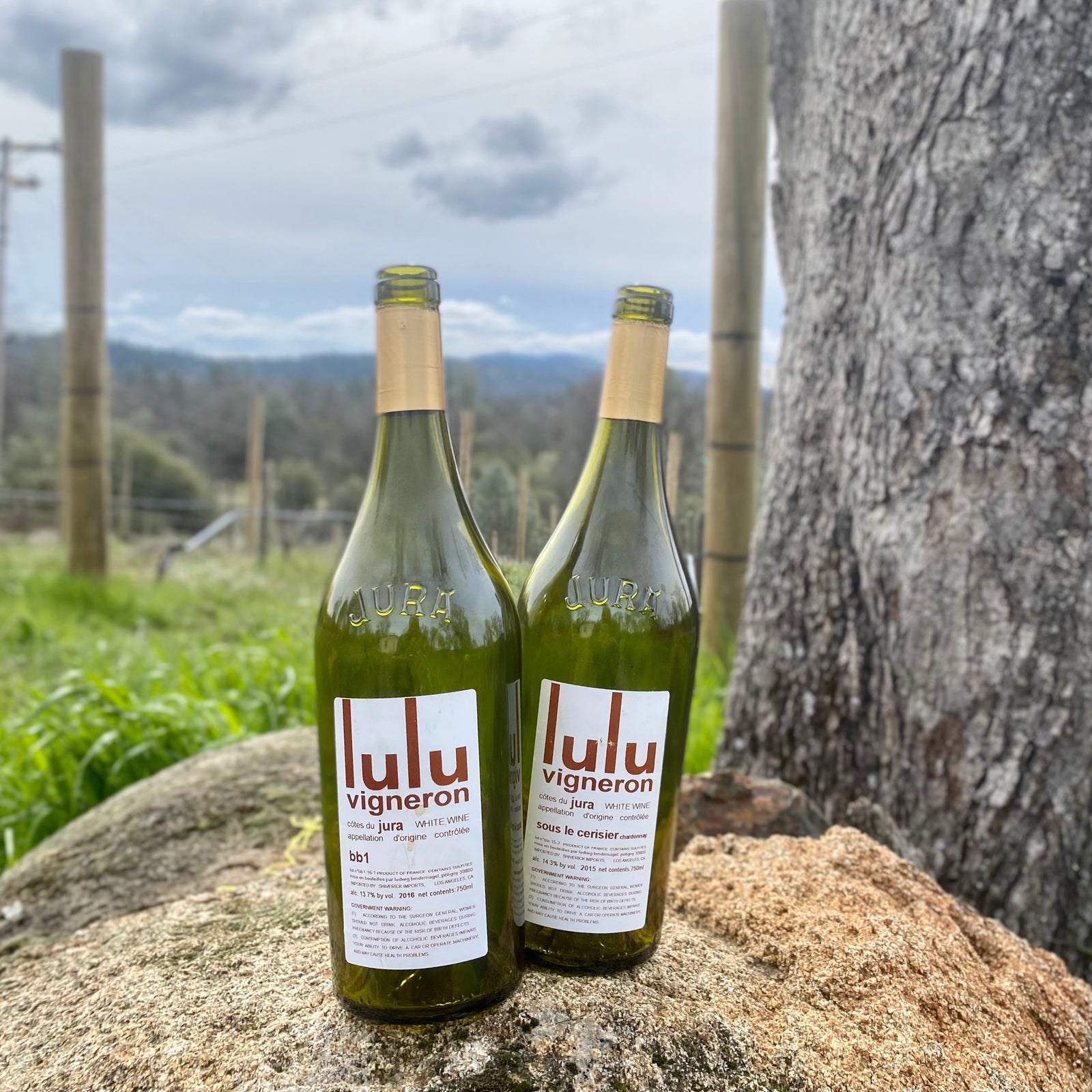 Lulu Vigneron's Jura Magic
