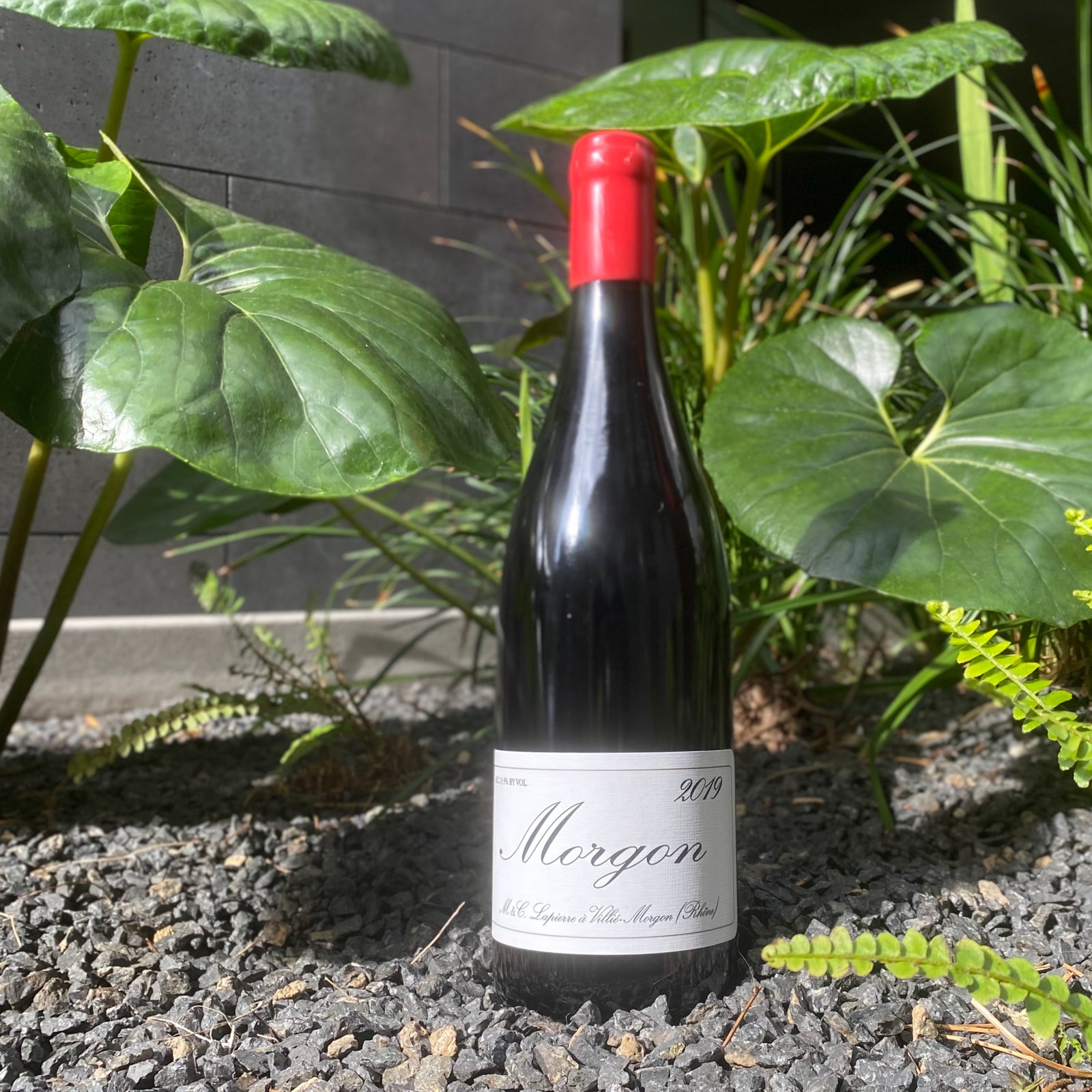 Marcel Lapierre, Morgon Cuvée N