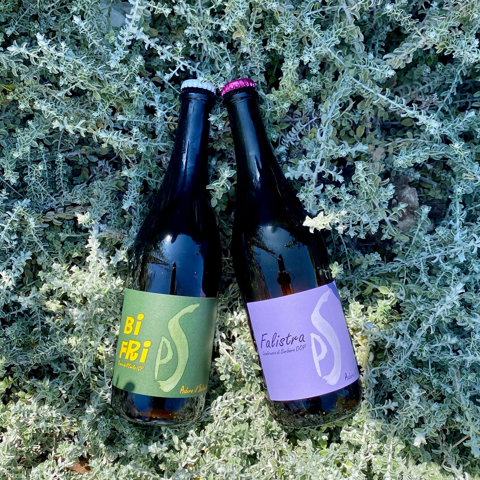 Fresh and Natural Pet-Nat & Lambrusco