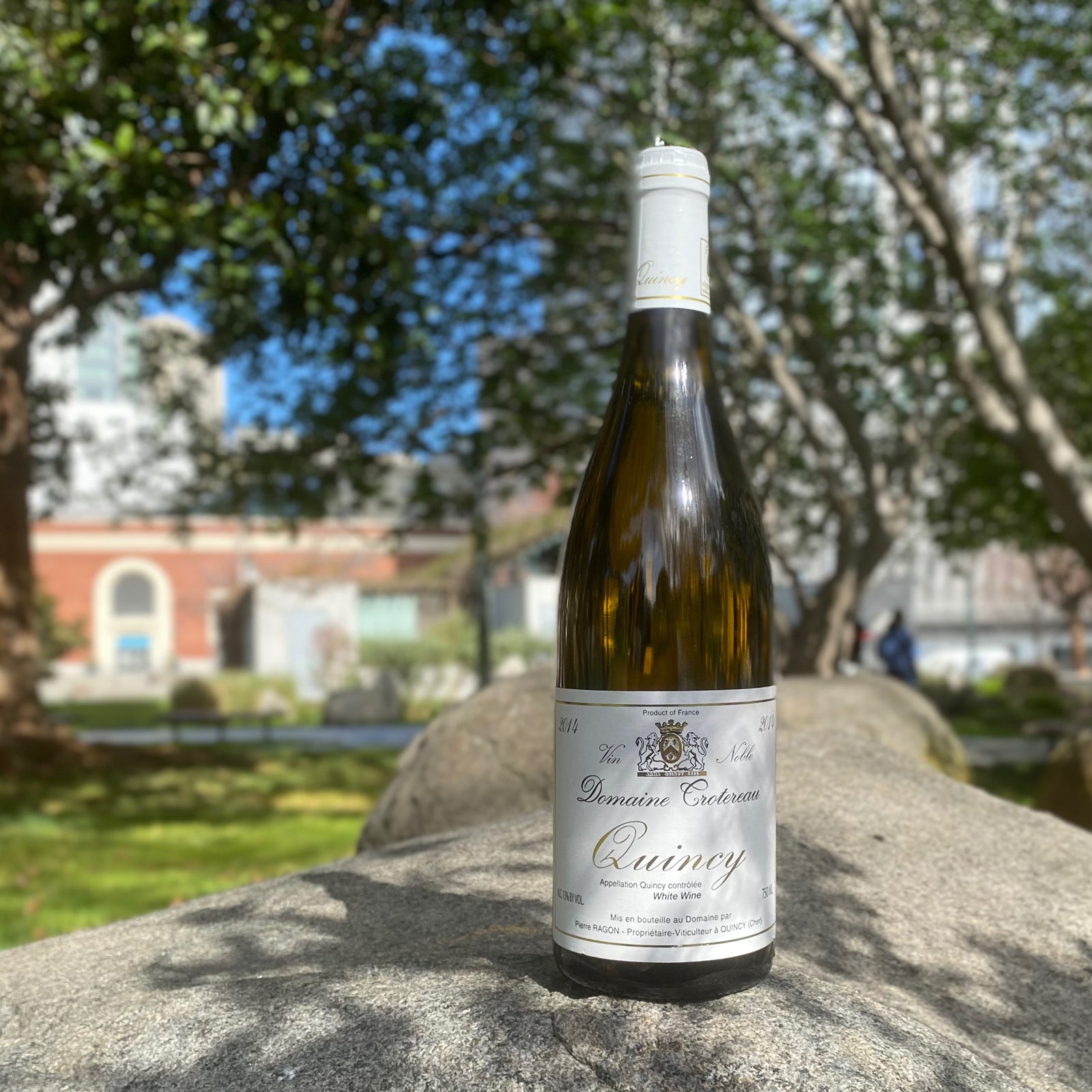 Domaine Trotereau: Master of Sauvignon