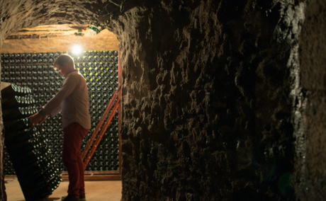 Champagne isn't just for celebrations! (December 2024)