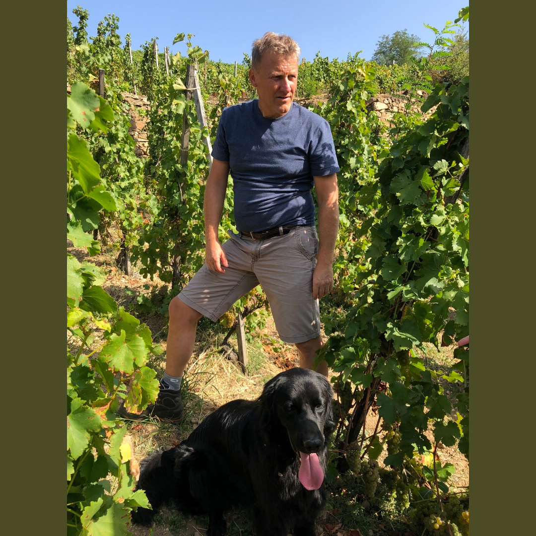 Smoke & Spice: Old School Syrah from Pierre Jean Villa