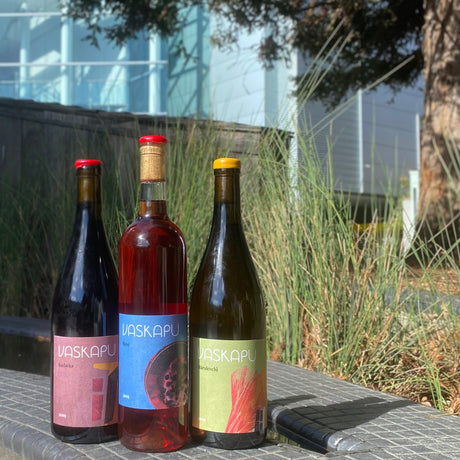 Vaskapu Kastély: The New Southern Hungarian Wines