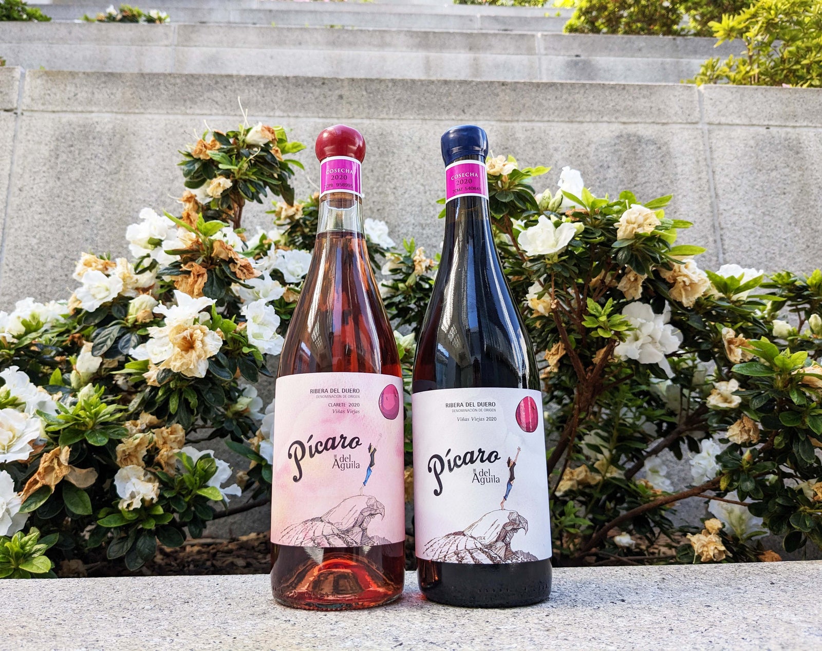 A Fresh Perspective on the Ribera del Duero: The Wines of Dominio del Aguila