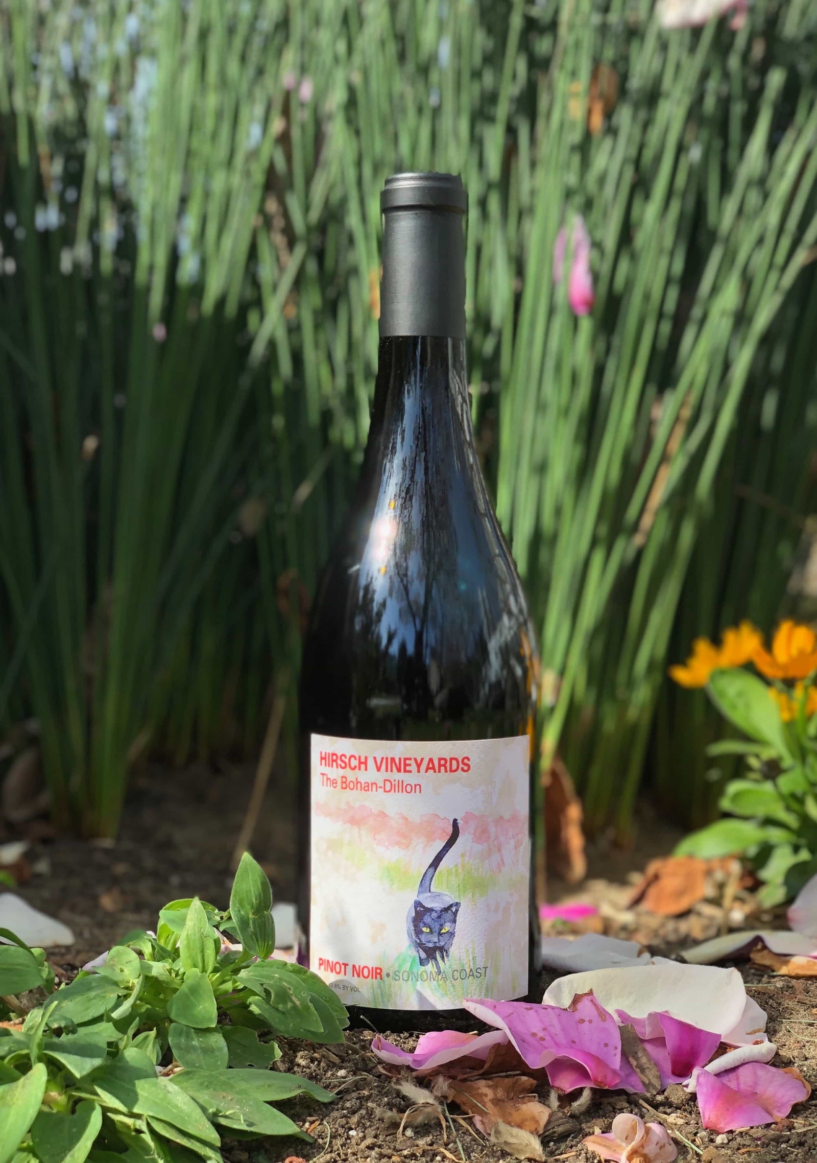 Esther's latest Wine of the Week pick is in and its a favorite!