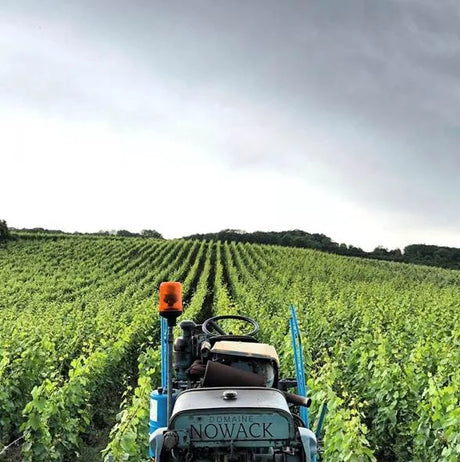 Old Friends, Ancient Terroirs, and New Voices in Champagne - August 2025