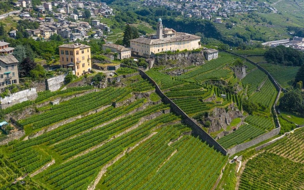 San Lorenzo: Mountain Nebbiolo from an Ancient Convent