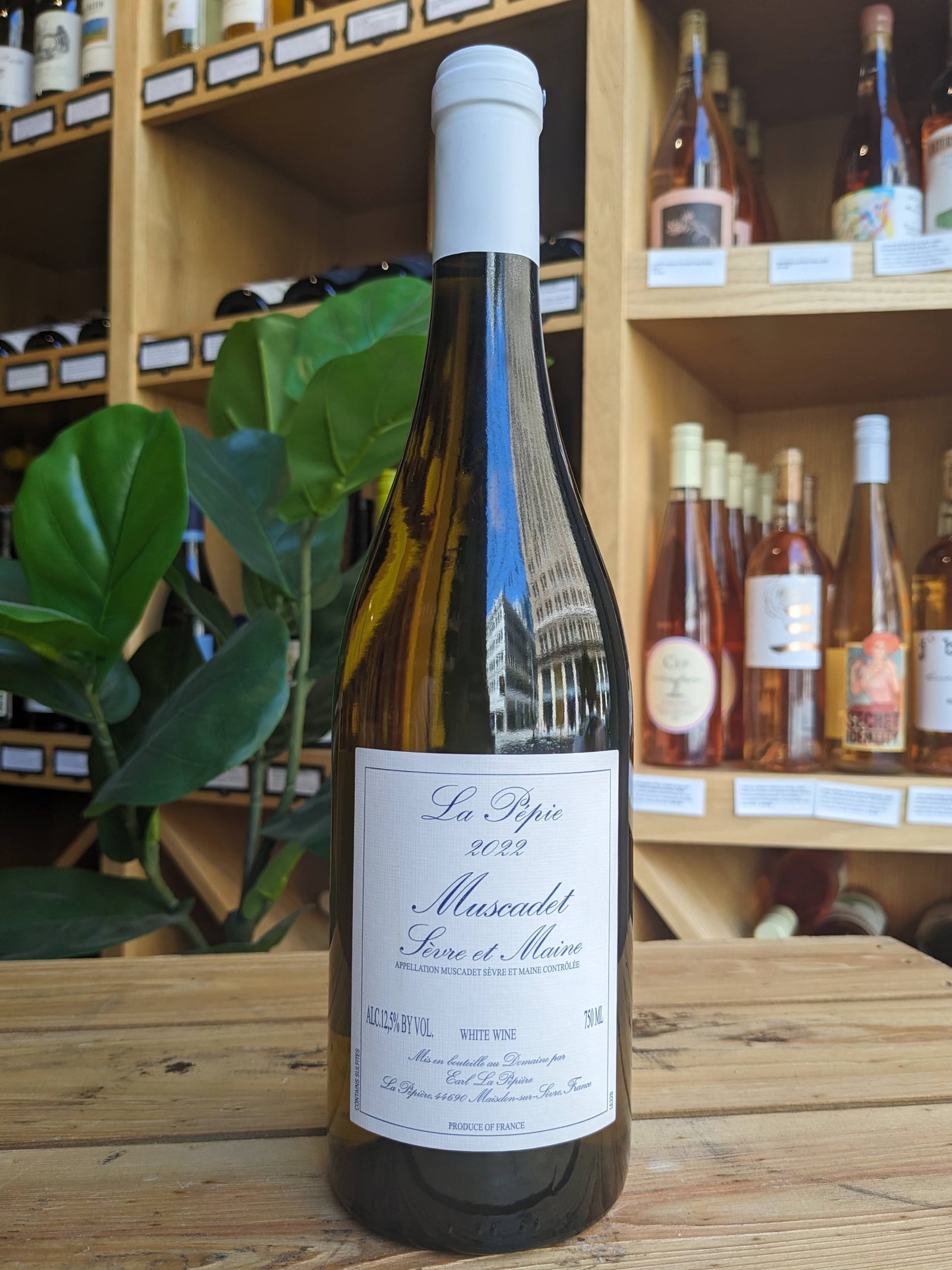 Impressive, Mineral Driven and Ridiculously Inexpensive White Wine From The Western Loire