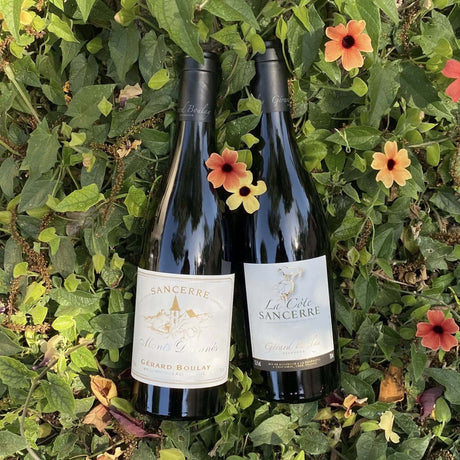 Gerard Boulay: Move Over Montrachet!
