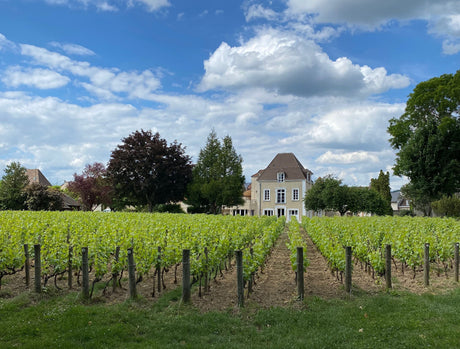 Jacquesson: Non-Vintage Greatness