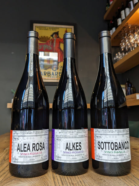 Volcanic Wines from Lazio