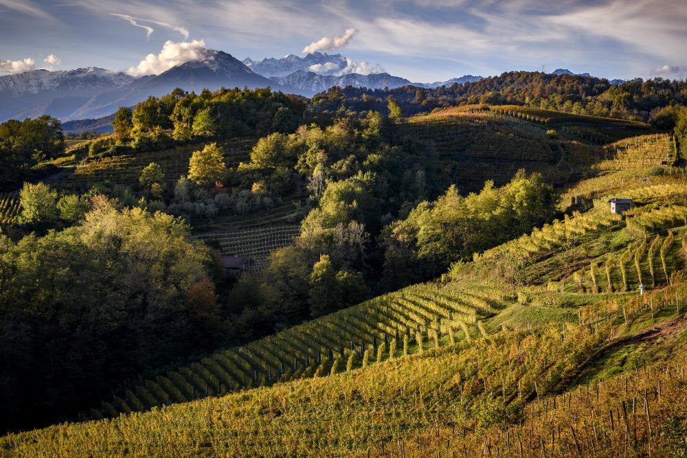 2023 Spring Wine Education Seminar Series