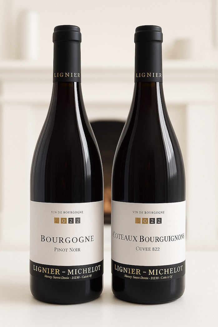 Burgundy’s Next Superstar, Today