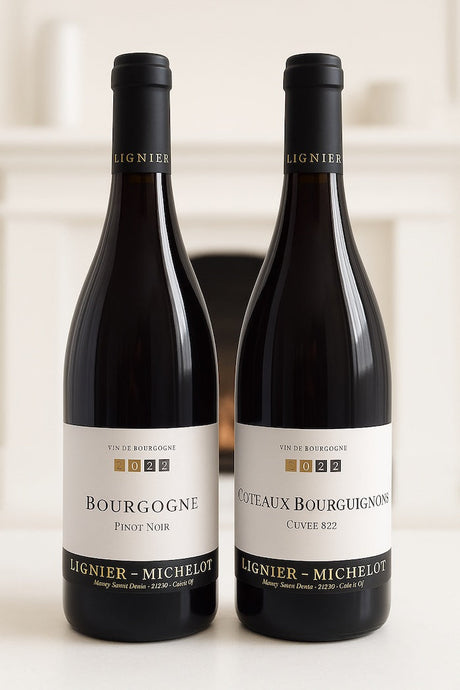 Burgundy’s Next Superstar, Today