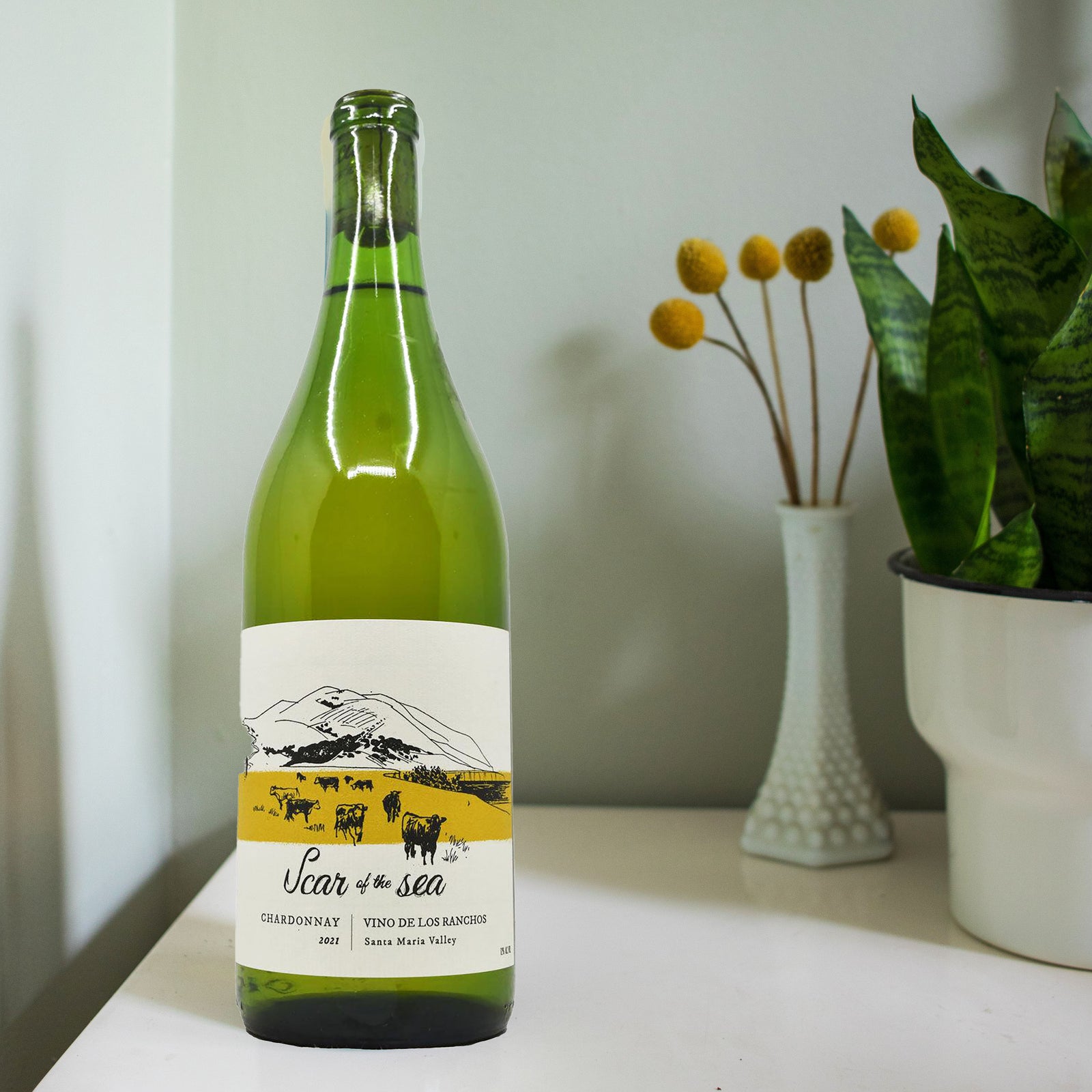 Stylized image of Scar of the Sea Chardonnay Vino de los Ranchos 2021