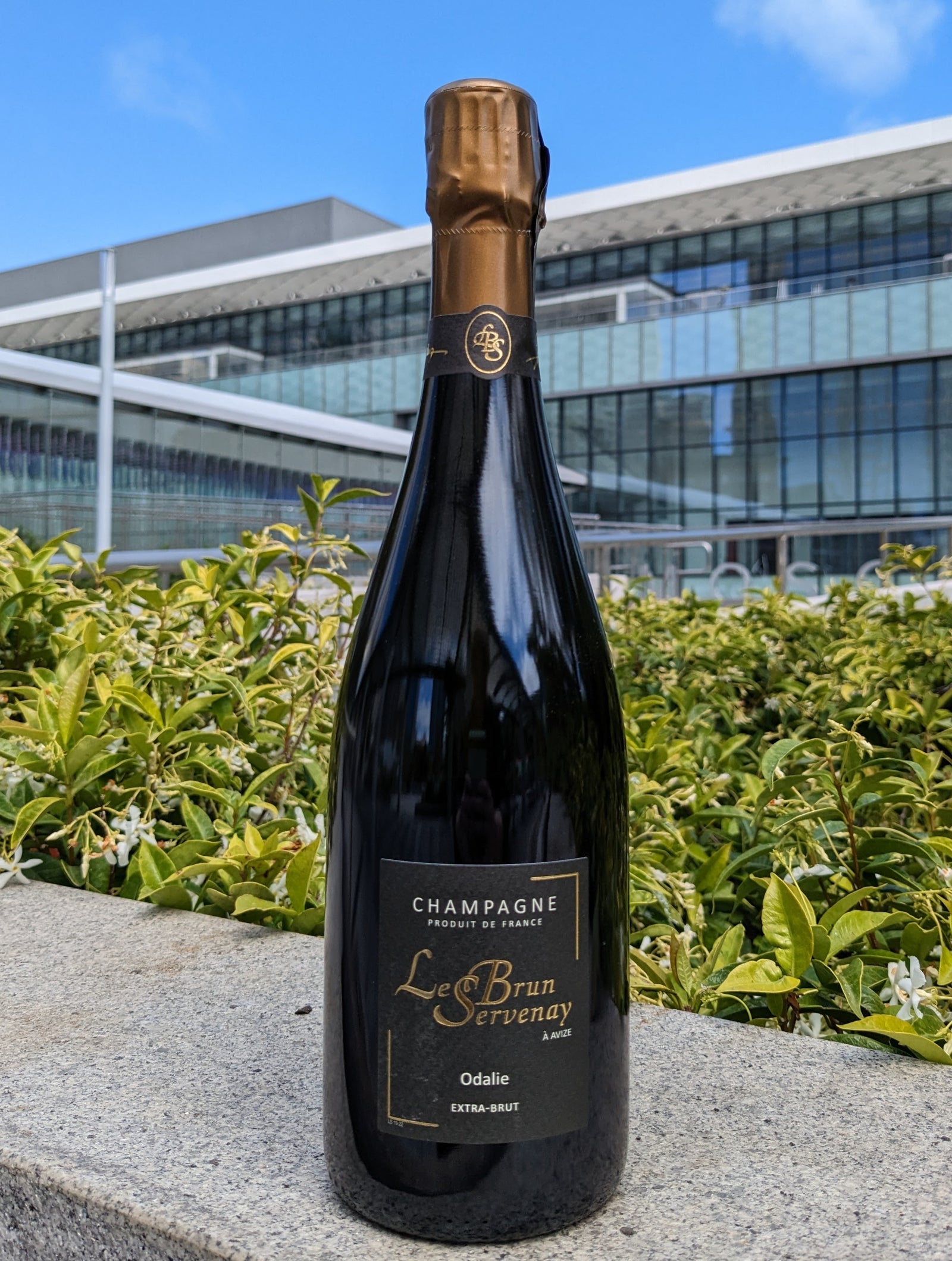 Le Brun Servenay: Tradition, but with Quality