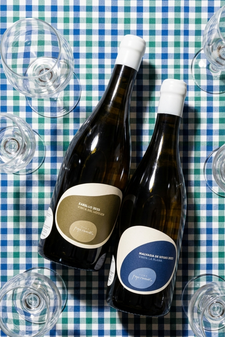 Beyond the Bubbles: The Remarkable Still Wines of Pepe Raventós
