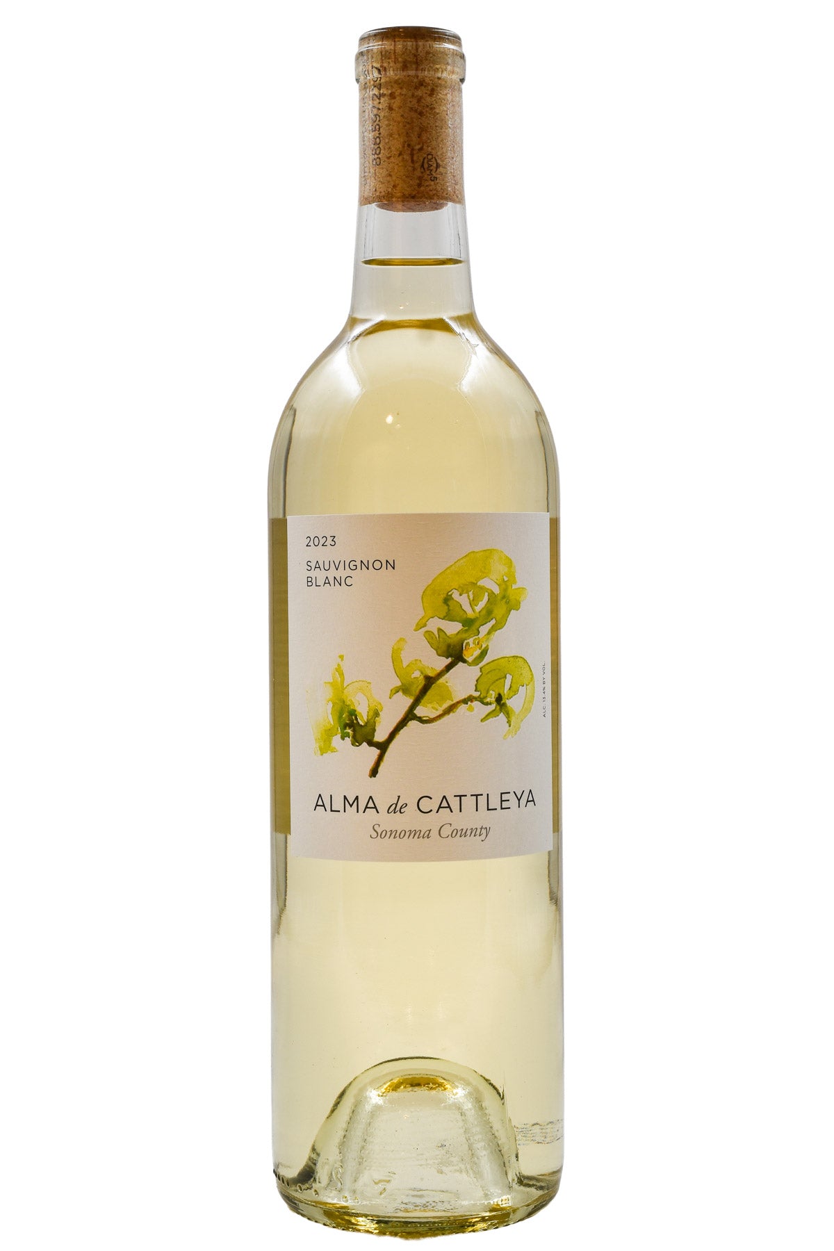 Bottle of Alma de Cattleya Sonoma County Sauvignon Blanc 2023-White Wine-Flatiron SF