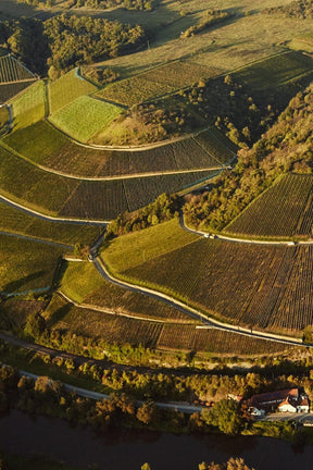Bottle of An Evening in Austria & Germany: A Skurnik Producer Gala-Event-Flatiron SF