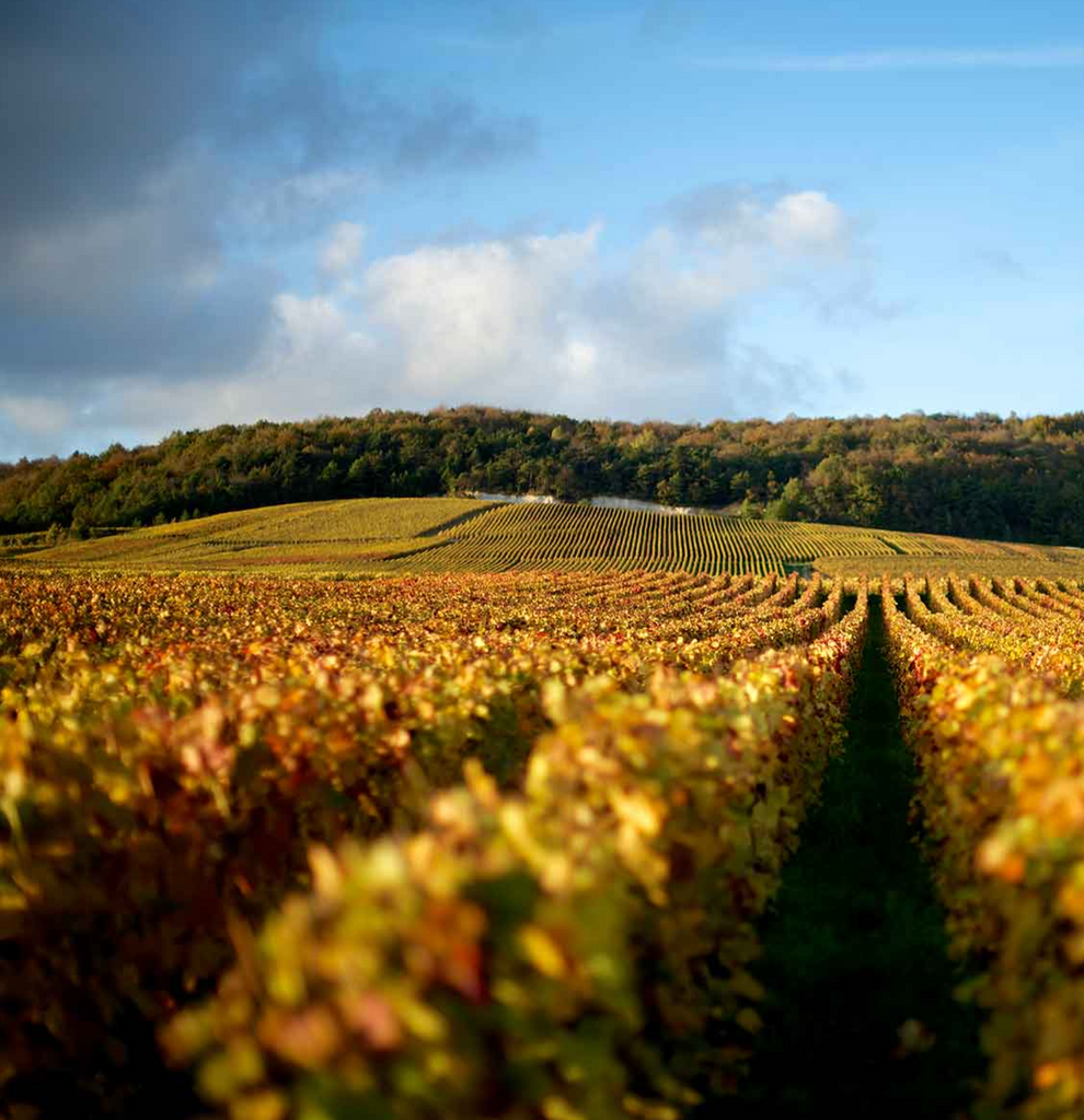 Bottle of An evening with Champagne Eric Rodez 11/19/25-Event-Flatiron SF