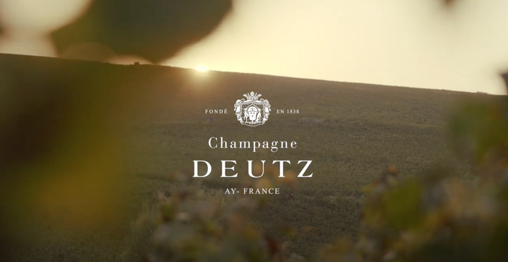 Landscape image of vineyard in Ay, France on the property of Champagne Deutz.