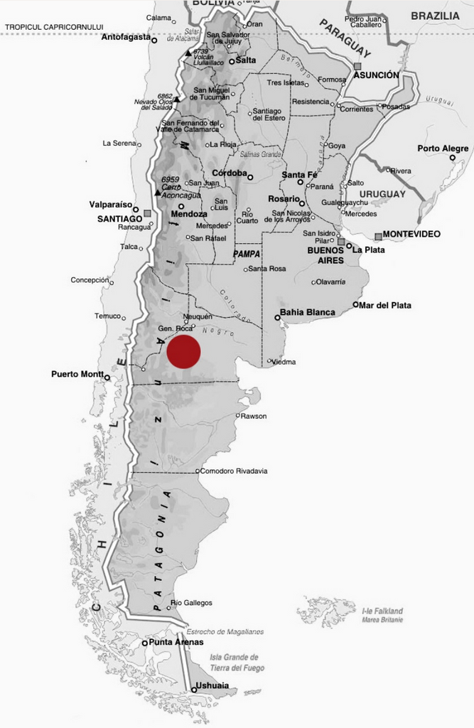 Bottle of An evening with Piero Incisa della Rocchetta of Bodegas Chacra - 9/10/25-Event-Flatiron SF