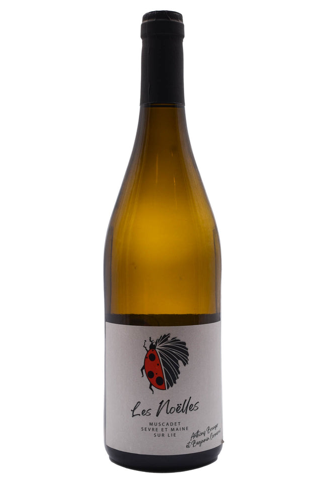 Bottle of Anthony Branger et Benjamin Cormerais Muscadet Sevre et Maine Les Noelles 2023-White Wine-Flatiron SF