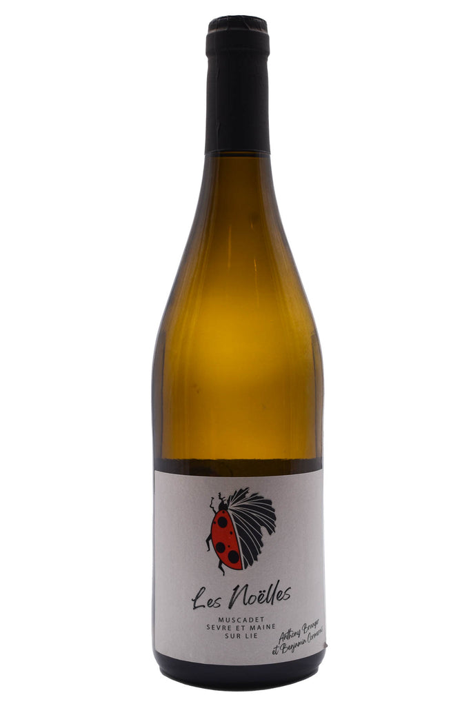 Bottle of Anthony Branger et Benjamin Cormerais Muscadet Sevre et Maine Les Noelles 2023-White Wine-Flatiron SF