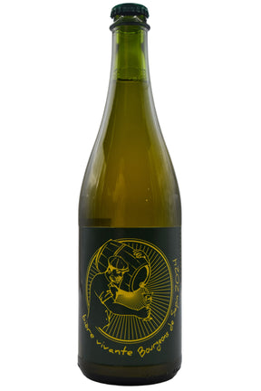 Bottle of Brasserie des Voirons Sapin 2024-Beer-Flatiron SF