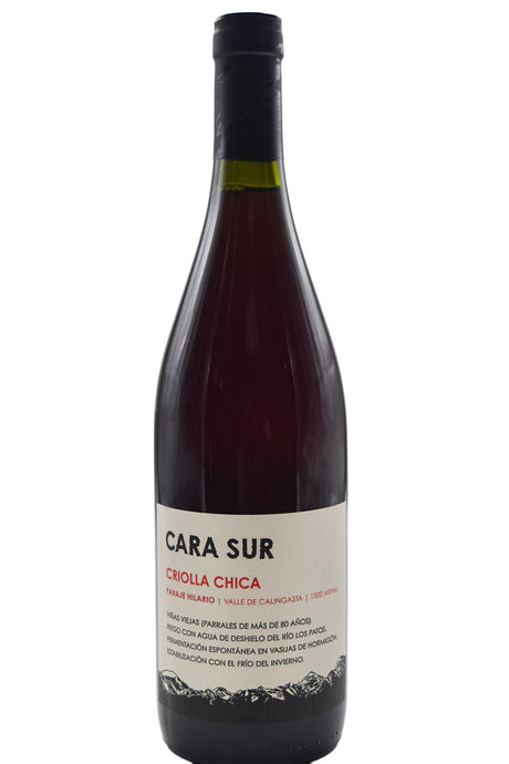 Bottle of Cara Sur Criolla Chica 2023-Orange Wine-Flatiron SF