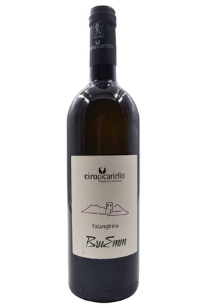Bottle of Ciro Picariello Falanghina Bru Emm 2023-White Wine-Flatiron SF
