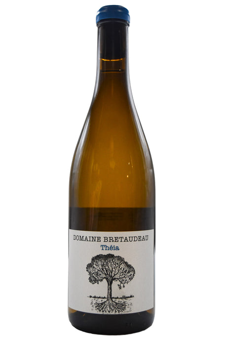 Bottle of Domaine Bretaudeau Muscadet Sevre et Maine Theia 2024-White Wine-Flatiron SF