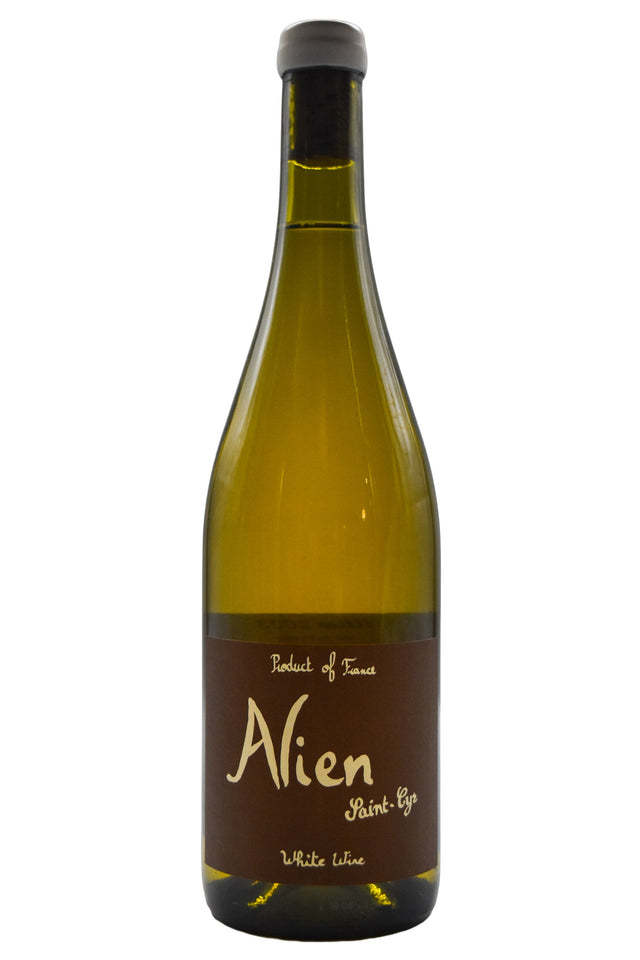 Bottle of Domaine Saint-Cyr VdF Alien Blanc 2023-White Wine-Flatiron SF